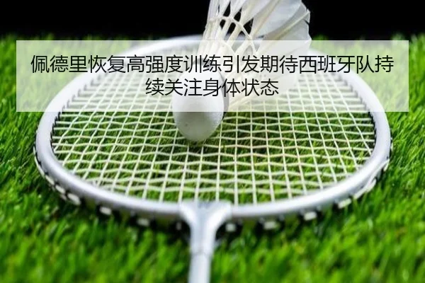 佩德里恢复高强度训练引发期待西班牙队持续关注身体状态